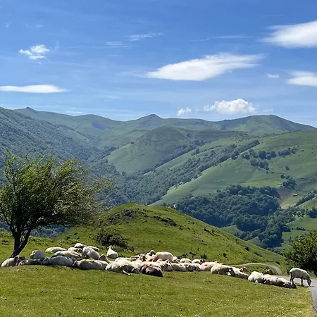 Maison Biscaya , La 2e étage Pensión 4*
